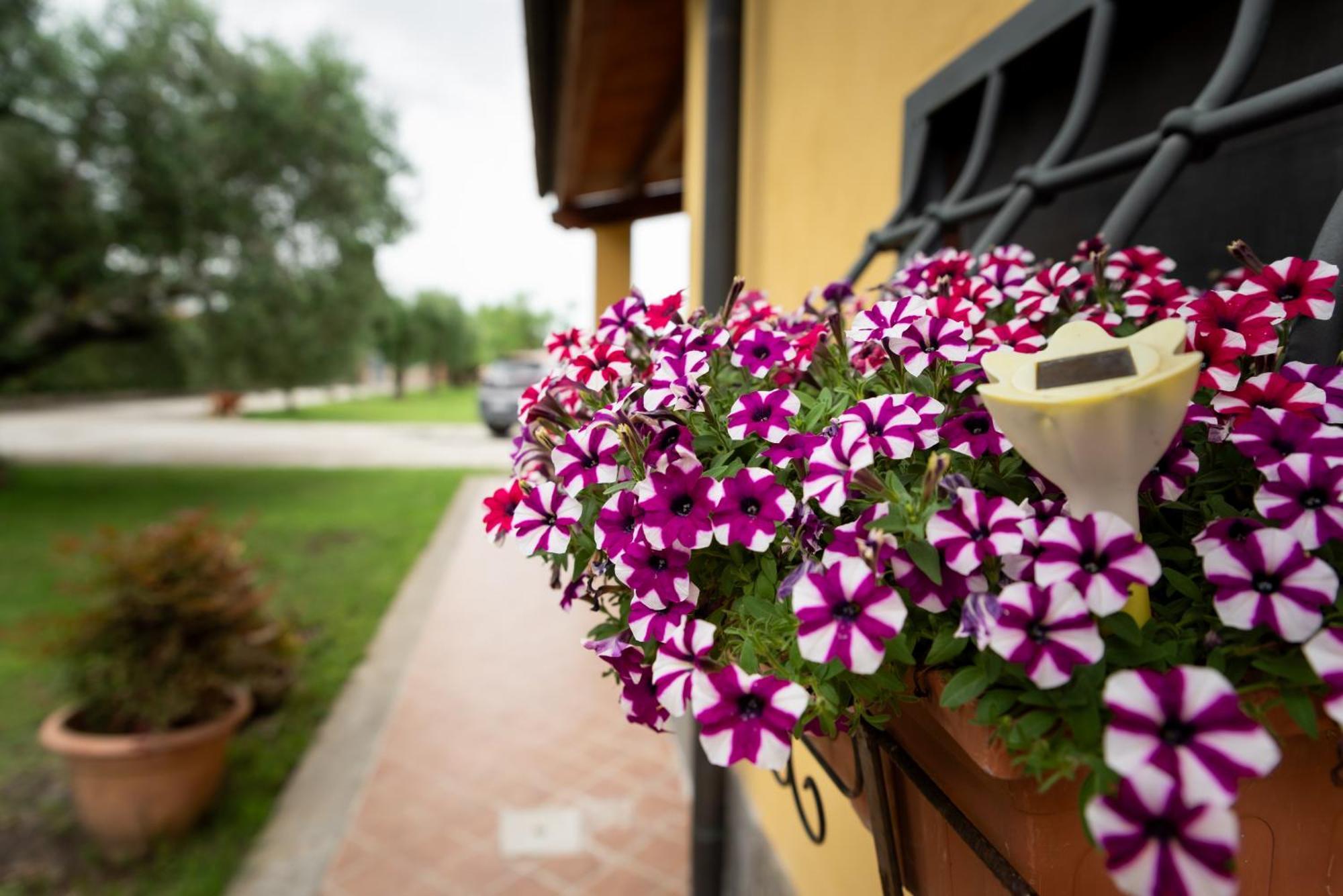 L'Antico Vigneto Hotel Marino Buitenkant foto